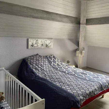 Loft Avec Jardin *