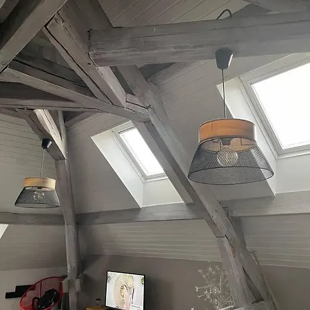 Apartment Loft Avec Jardin