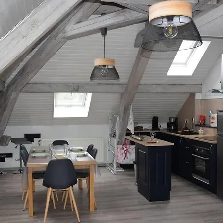 Loft Avec Jardin Apartment