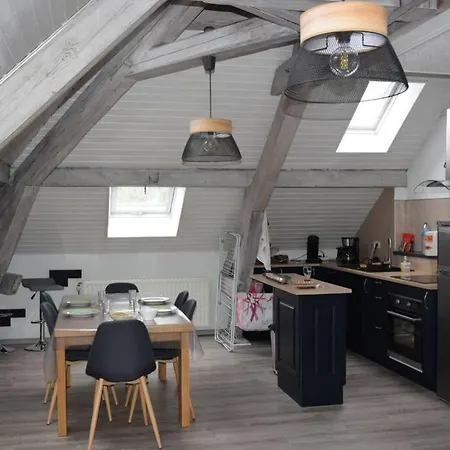 Loft Avec Jardin شقة