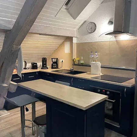 Loft Avec Jardin شقة *