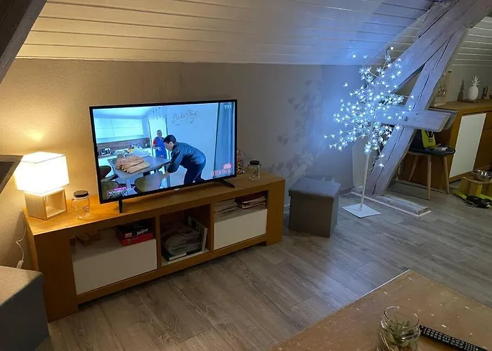 公寓 Loft Avec Jardin