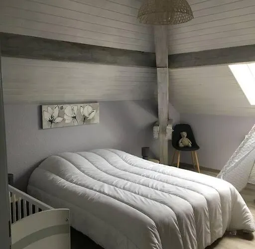 Loft Avec Jardin 公寓 *