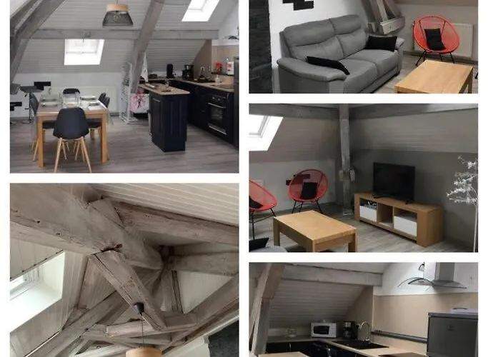 Loft Avec Jardin 公寓 *