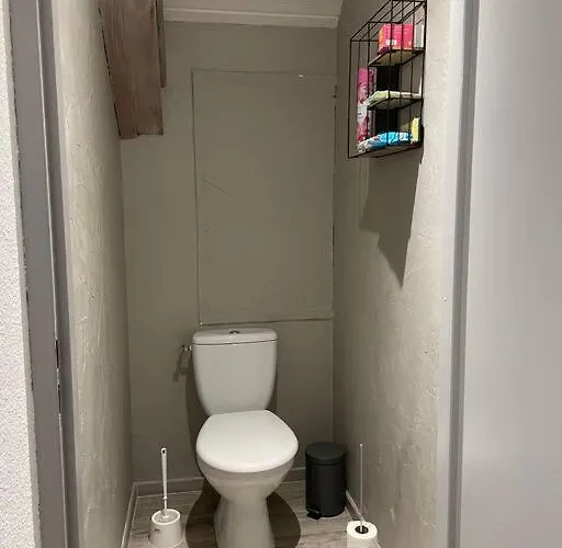 公寓 Loft Avec Jardin