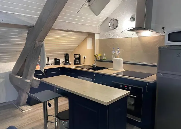 Loft Avec Jardin 公寓 *